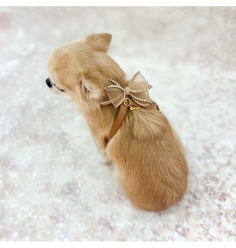 Perfection in a Bow Harness Camel