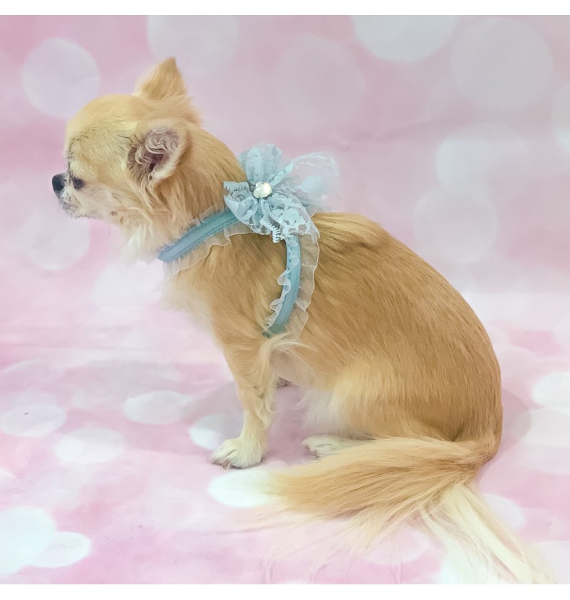 Bow harness best sale