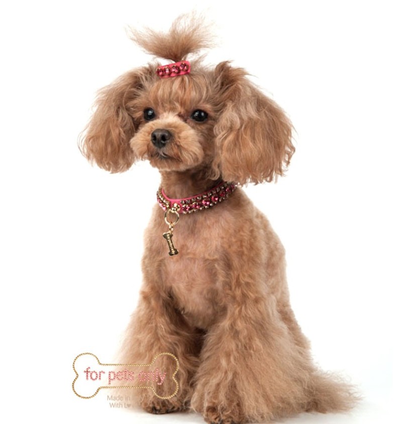 Diamond collar 2024 dog grooming